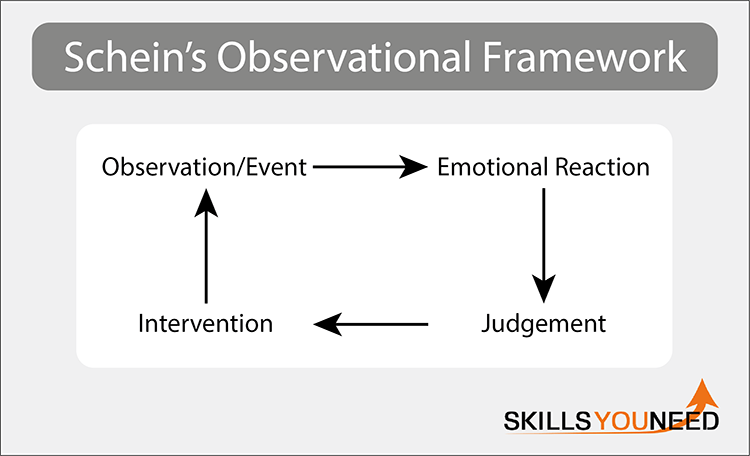 Schein's Observational Framework